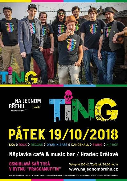 TiNG  - Hradec Králové