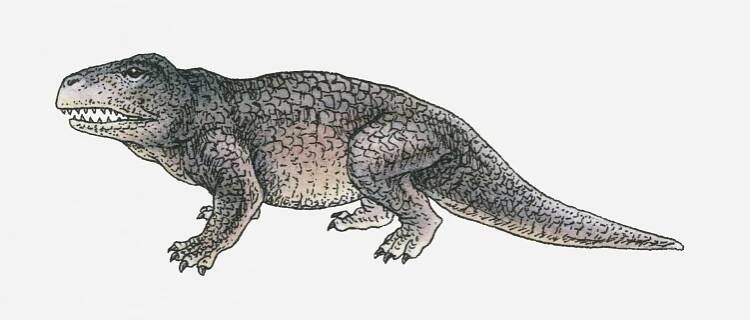 Erythrosuchus mohl na délku měřit až pět merů