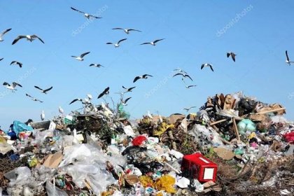 Skládka odpadů a ptáci — Stock Fotografie © fouroaks #51246551