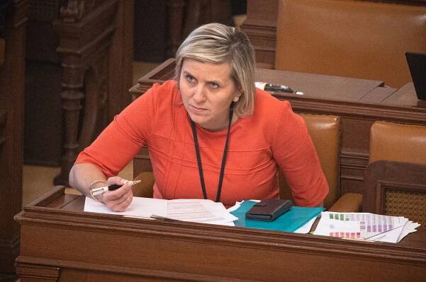 Sepsula Rakušana za nákup 14 aut za 14,5 mega pro jeho lidi: Sami se jí ozvali. Senátorka ANO nebyla vůbec ráda