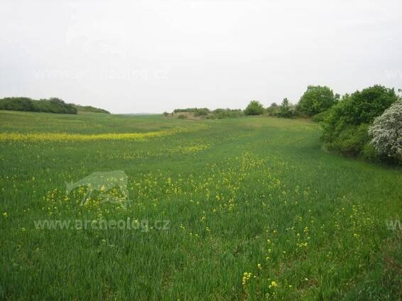 Stradonice, oppidum Hradiště - archeolog.cz