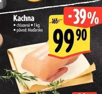 Albert Kachna nabídka
