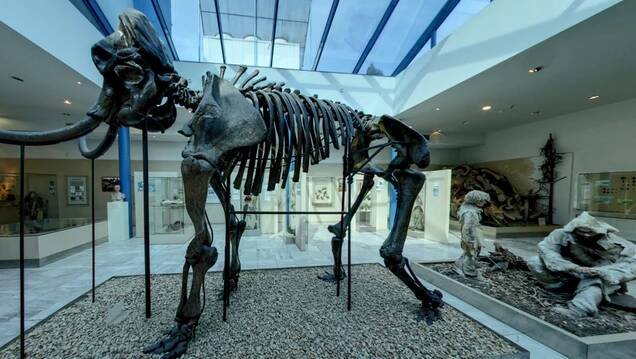 Pavilon Anthropos: Moravské zemské muzeum