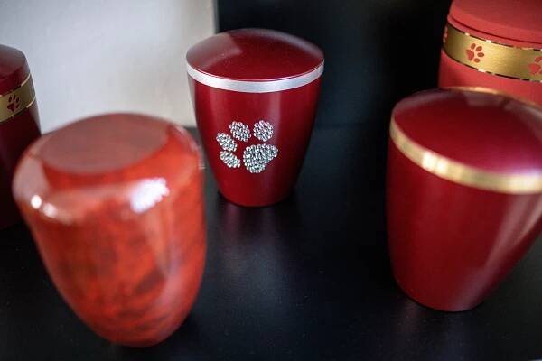 První zvířecí krematorium v kraji. Takto probíhá poslední rozloučení s mazlíčky