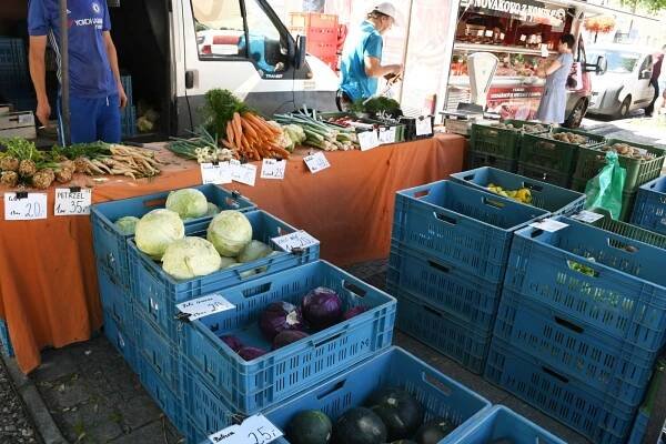 FOTO: Tradiční farmářské trhy v Lounech nabídly pečivo, sýry, ovoce i zeleninu