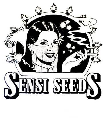 Sensi Seeds Early Skunk