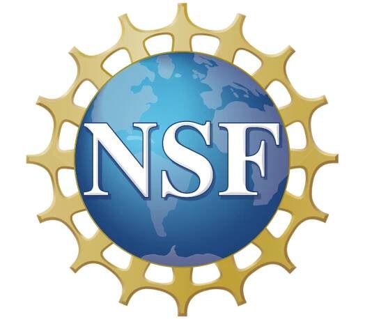 NSF chief quits as DOGE drives 55% budget cut and grant freeze - Research & Development World