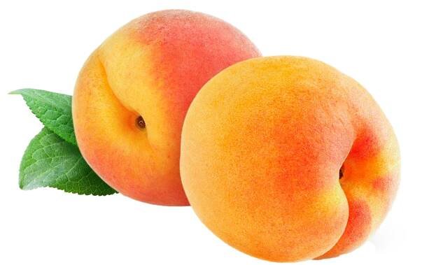 Juice Fruit Saturn Peach Ripening.