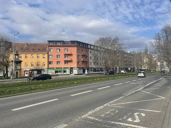 Brněnské šaliny jezdí mezi květinami. Na zeleném pásu vykvetly narcisy