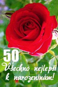 Klikněte pro zobrazení původního (velkého) obrázku
==============
Přání k 50. narozeninám rudá růže
Rudá růže - přání a blahopřání k padesátinám obrázek květin ke stažení zdarma, k vytištění nebo jako elektronická pohlednice. Rozměry 17 x 11,5 cm pro obálku B6.
Klíčová slova: přání k 50. narozeninám