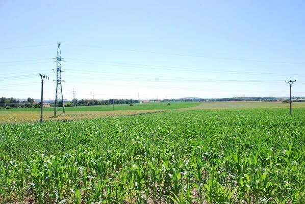 Prodej orné půdy – 11.615 m2, k. ú. Mikulov na Moravě - Schmidt Reality - Rodinná realitní kancelář