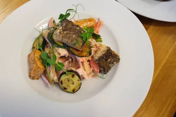 Zeleninový salát s pečenou rybou a grilovanou cuketou – lehké a zdravé jídlo v nabídce BISTRO SOUD