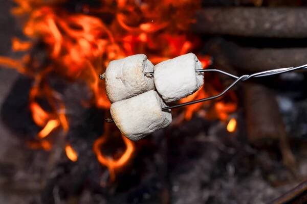 Marshmallows nad ohněm. — Stock obrázek
