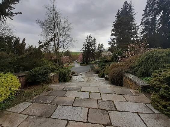Arboretum na Opavsku je teď hitem. Není divu! Neuvěříte, co všechno už kvete