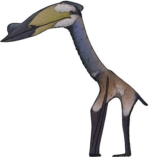 Soubor:Wellnhopterus brevirostris.png – Wikipedie