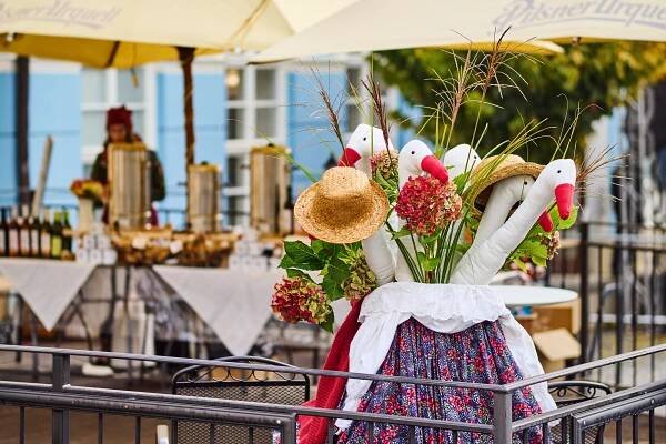 Zahrádka U zvědavých husiček – Turistické informační centrum Mikulov