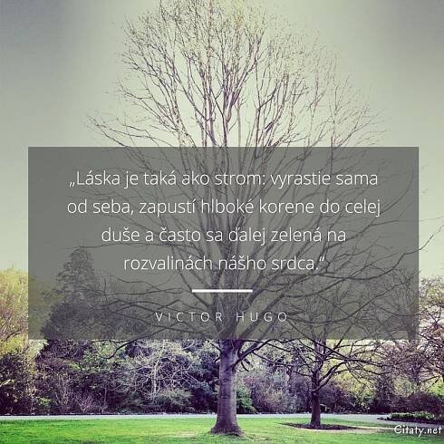 Láska je taká ako strom: vyrastie sama od seba, zapustí...