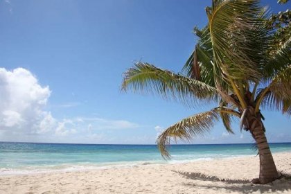 Jamajka - Ostrov slunce, rumu a reggae