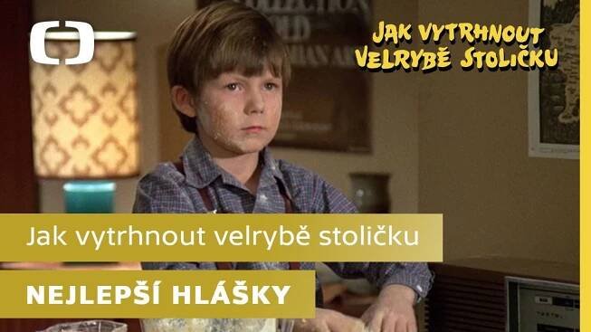 Jak vytrhnout velrybě stoličku