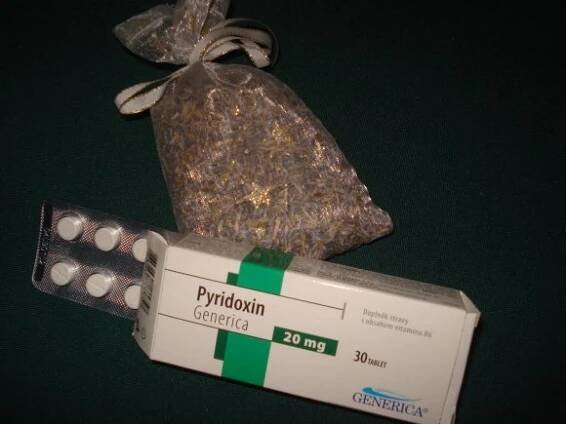 obrázek ke článku Vitamin B6 - Pyridoxin