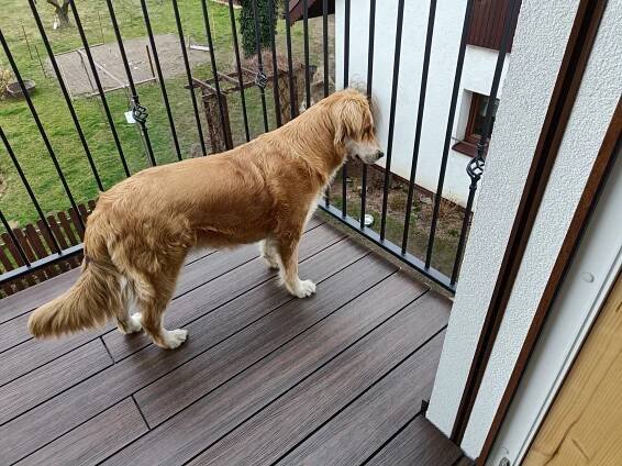 Balkón | A&M Fotogalerie