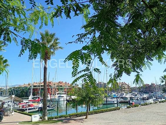 Marina view with boats docked in turquoise water, framed by green trees and a palm tree under a clear blue sky. Buildings in the background.