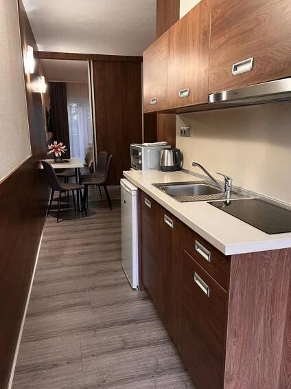 Kuchyň nebo kuchyňský kout v ubytování Apartmány Teddy Bojnice