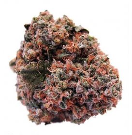 Strawberry Cough: The Sweet-Smelling Strain that Packs a Punch