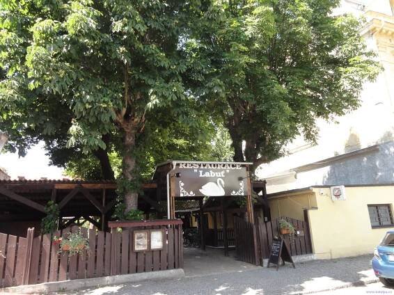 Restaurace Labuť - Litoměřice | Katalpa