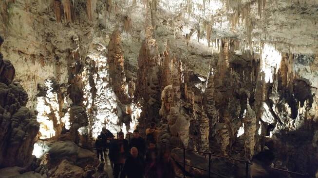 LIPICA STUD FARM AND ŠKOCJAN CAVES