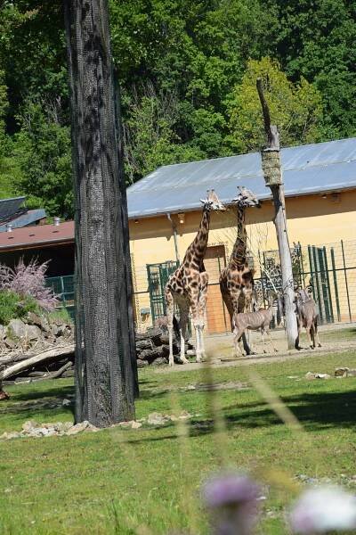 ZOO PLZEŇ – ZŠ a MŠ Mirošov