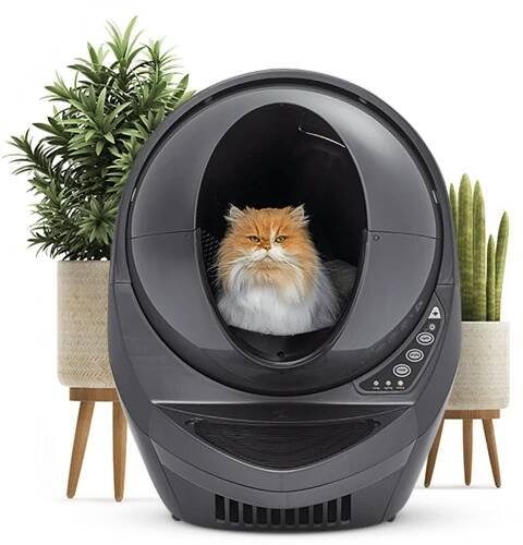 The smartest litter box