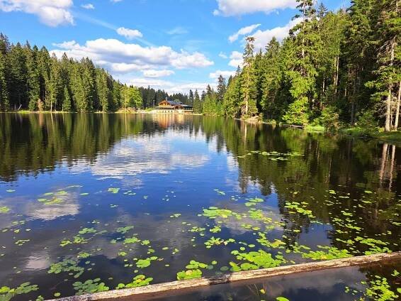 Šumava s dětmi – hory, hřiště, jezera i koupání - Brněnská máma