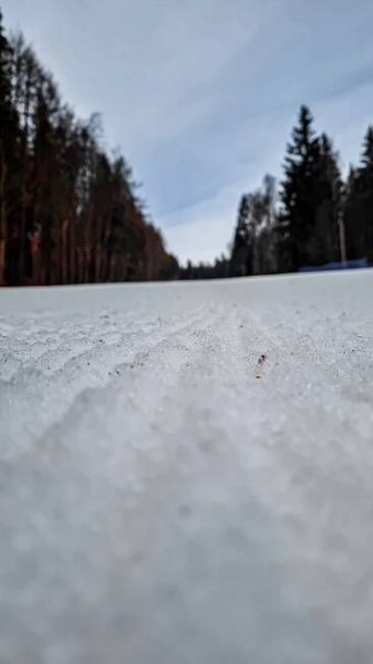 Karlova Studánka - Pradědova aréna - lyžování a sníh na sjezdovkách