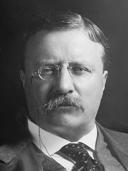 File:Theodore Roosevelt 1907 Portrait (3x4 close cropped).jpg