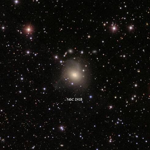 SDSS image of region near elliptical galaxy NGC 2418