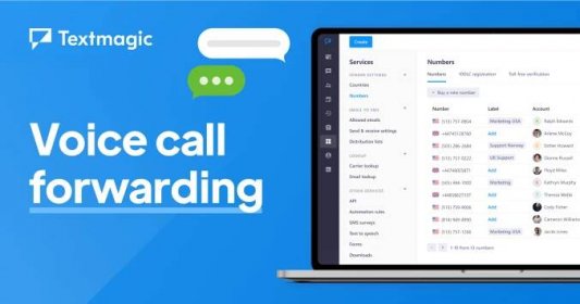 Call Forwarding: Voice Enabled Virtual SMS Numbers