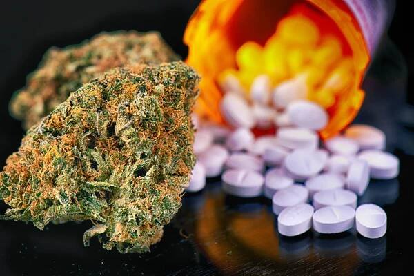 Lékové interakce u CBD – Magazín Konopí