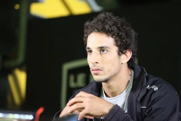Taureau Taureau - Alaa Safi