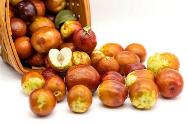 Ziziphus jujuba ´Pera´ , Jujuba , Cicimek , Čínská datle, K26