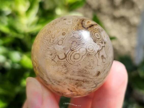 Achát sardonyx koule Ø 39mm (84g) - naturshop.cz