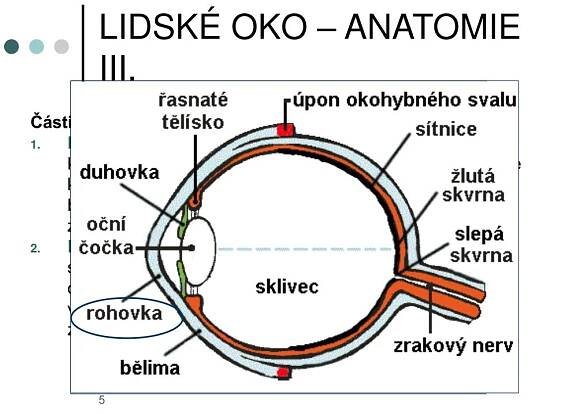 PPT - OKO A ZRAK PowerPoint Presentation, free download - ID:6669173