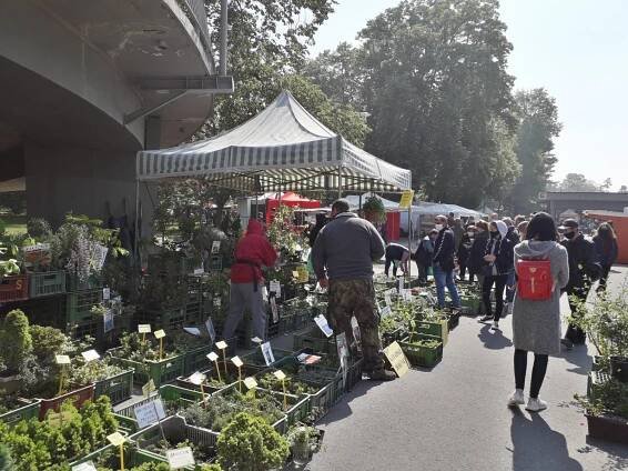 Zahradnické trhy 2021 | Výstaviště Flora Olomouc, a. s.