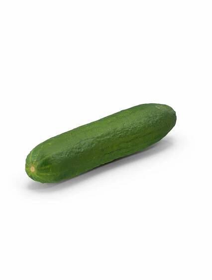 3D model Fruits And Vegetables Bundle https://p.turbosquid.com/ts-thumb/JT/1WIuk4/HT/cucumber.g03.2k/jpg/1747332063/1920x1080/fit_q87/1f10517168dec999bee8bd8bde761dd875172858/cucumber.g03.2k.jpg