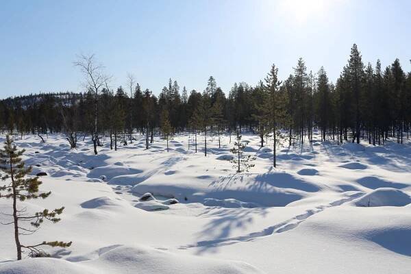 INARI - Finsko | Superzajezdy.cz