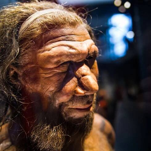 How smart were Neanderthals?
