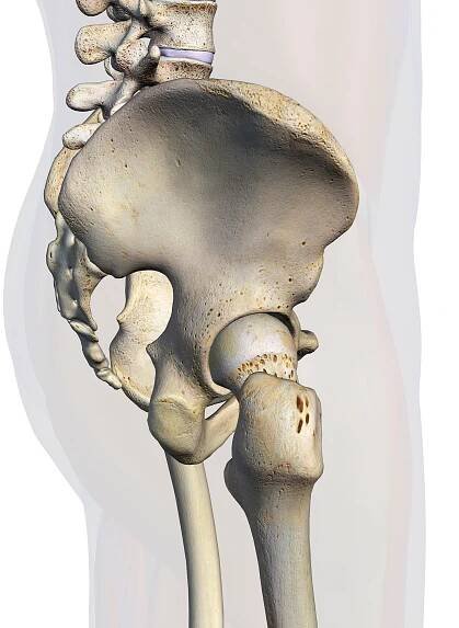 male hip bones side view na bílé - kyčelním kostem - stock snímky, obrázky a fotky