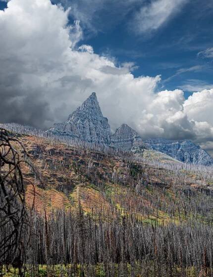 Don Taylor - Landscapes