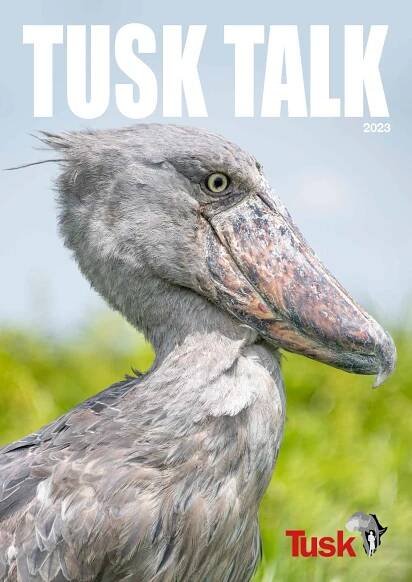 Tusk Talk Magazine - Tusk