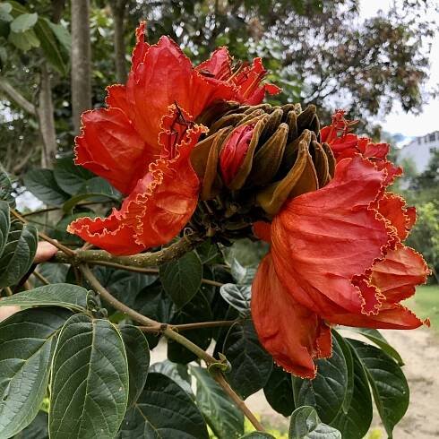 Blog – Sierra y Cielo